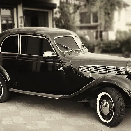 אורחן Henry Ford Mini *